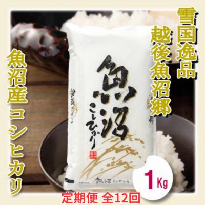 ふるさと納税 魚沼市 【毎月定期便】【雪国逸品 精米1kg】越後魚沼郷 魚沼産コシヒカリ全12回