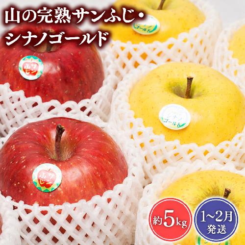 【2027年1～2月発送】吹田りんご園 山の完熟サンふじ・シナノゴールド約5kg【吹田りんご園・青森りんご・平川市広船産・1月・2月】