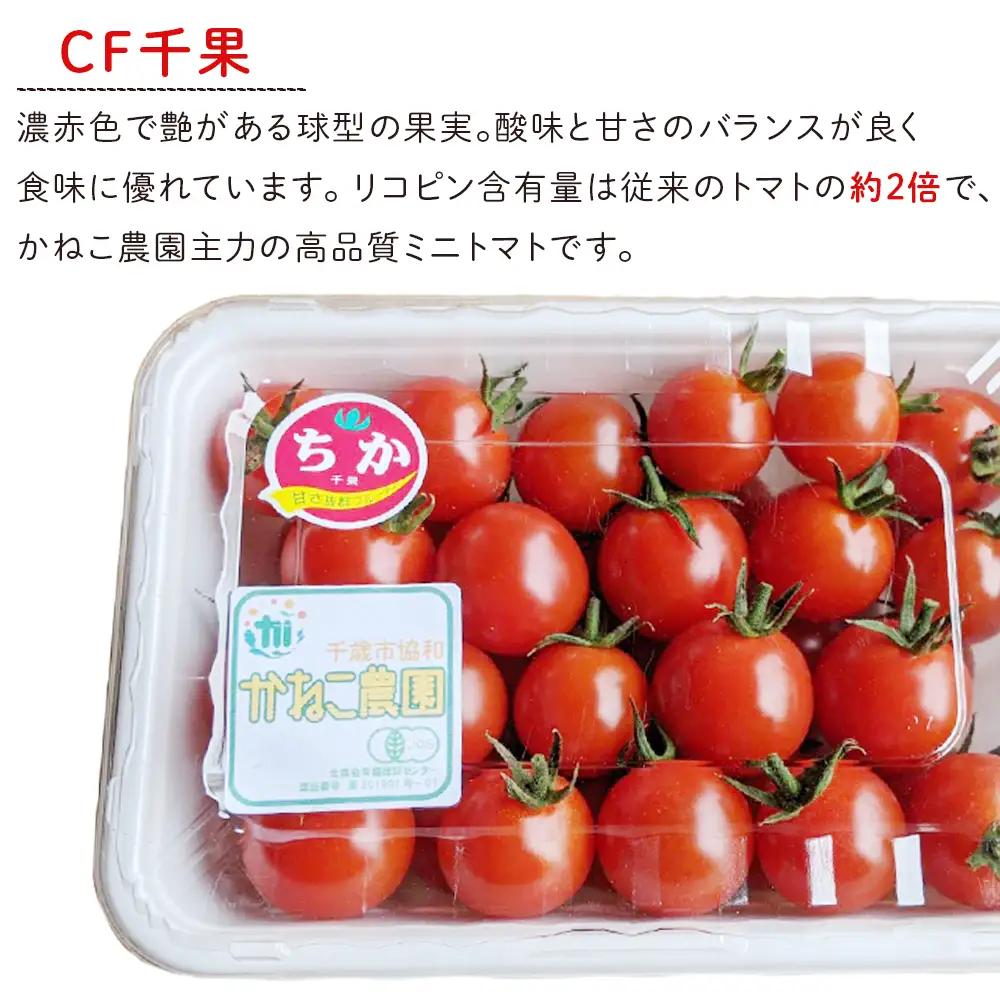 【2027年7月下旬より発送】有機ミニトマト2種セット(2kg)【かねこ農園】 トマト 有機 野菜 北海道ふるさと納税