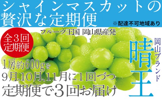 
                  ぶどう 2024年 9月・10月・11月発送 シャイン マスカット 晴王 1房 約600g ブドウ 葡萄 岡山県産 国産 フルーツ 果物 ギフト
                