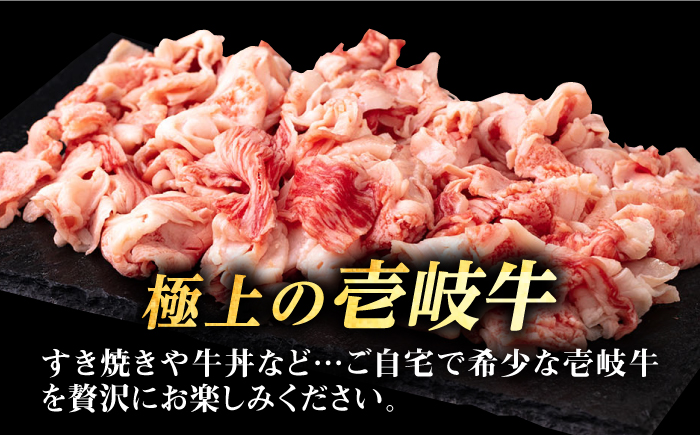 【全2回定期便】 壱岐牛 こま切れ （バラ） 1kg《壱岐市》【株式会社イチヤマ】 肉 牛肉 細切れ 小間切れ BBQ 焼肉 [JFE121]