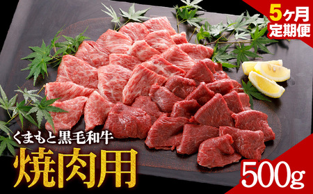 【5ヶ月定期便】牛肉 くまもと黒毛和牛 焼肉用 500g 定期便 5回 株式会社KAM Brewing《お申込み月の翌月から出荷開始》