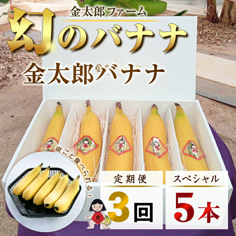 【ふるさと納税】定期便：スペシャル 金太郎バナナ（15本） 5本×3回（毎月お届け） 栽培期間中農薬不使用 【国産 ギフト プレゼント 贈り物 お返し おいしい 金太郎バナナ 果物 くだもの フルーツ お歳暮 お中元 】
