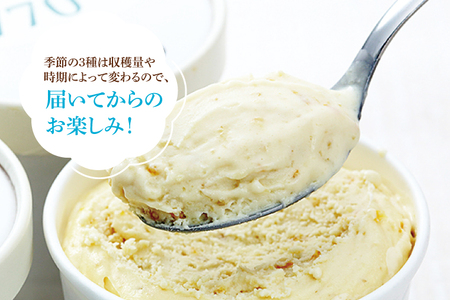 AB003【定期便】無添加アイスクリーム季節の味3種と定番7種セット（年3回：4月・8月・12月）