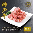 【ふるさと納税】＼A4ランク以上／ 噛めば噛むほど味わえる 神戸牛 サイコロステーキ 【500g（およそ半分ずつ真空）】 神戸ビーフ 小分け お肉 牛肉 焼肉 すき焼き ステーキ 神戸牛 牛 黒毛和牛 和牛 カット済み ステーキ 霜降り ギフト 国産 贈答用 平山牛舗 冷凍 送料無料