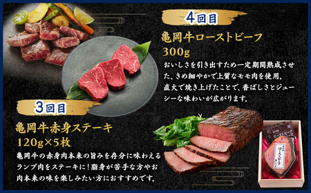 【4回定期便】亀岡牛 牛肉 お楽しみセット【計1.8kg】 牛肉