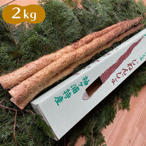 里山の自然で育てた「自然薯 2kg」｜上総自然学校 里山 禅寺 真光寺 芋 袖ケ浦 千葉 [0706]