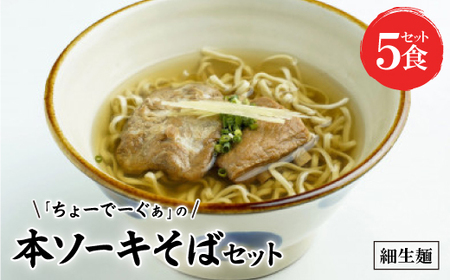 〈細生麺〉ちょーでーぐぁ 沖縄そば(本ソーキ)5食セット【配送不可地域：離島】【1523265】