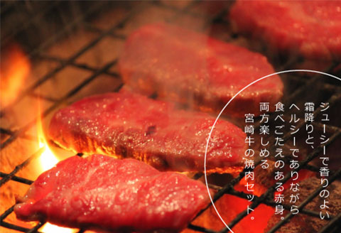 宮崎牛 霜降りと赤身 焼肉 セット 900g |牛肉 牛 肉 霜降り ウデ 焼肉 焼き肉 やき肉 赤身 モモ