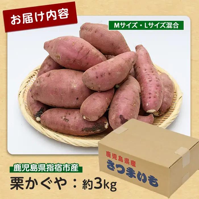 さつまいも 栗かぐや 約3kg サツマイモ IB084-004