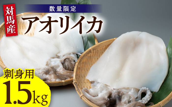 
アオリ イカ 刺身用 1.5kg《対馬市》【海風商事】国産 長崎 九州 海鮮 天ぷら [WAD008]
