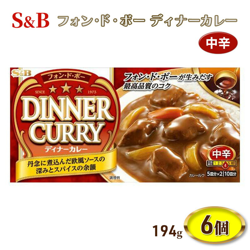 【ふるさと納税】S&B フォンドボー ディナーカレー 中辛 194g 6個 セット 詰め合わせ エスビー食品 エスビー カレー カレー粉 カレールー カレールウ 信州 長野 長野県 上田市