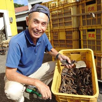 伝統濃厚だし 宗田節２種セット（うす削り＆厚削り）かつお節 鰹節 出汁 だし おかか 和食 白米のトッピング 隠し味 卵かけご飯  おにぎり 煮物 サラダ おつまみ おやつ おいしい 100年フード認定食材【R00004】