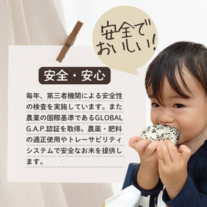 上越市産 新潟 コシヒカリ　5kg×2 6か月定期便  上越市 精米 米 コメ こしひかり ブランド米