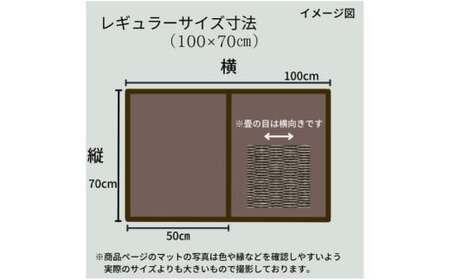 洗える折りたためる浴室畳マット【ブルーバイオレット】【浴室マット 浴室畳マット 浴室用品 浴室備品 浴室 マット 岡山県 倉敷市 おすすめ 人気】