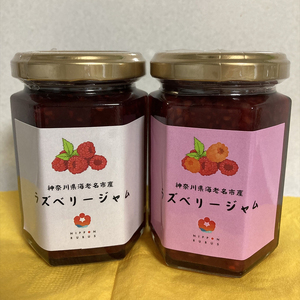 海老名産ラズベリージャム【 ジャム 神奈川県 海老名市 】