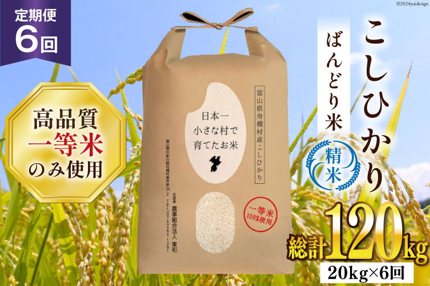 米 新米 令和8年 ばんどり米 コシヒカリ 精米 5kg 4袋 計20kg 6回 定期便 総計120kg  [農事組合法人東和 富山県 舟橋村 57050228] 一等米 コメ お米 ごはん ご飯 こしひかり 20キロ ブランド米 美味しい 農家 ふるさと納税