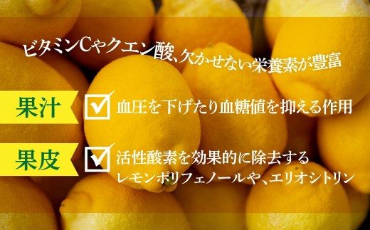 貯蔵蔵出し国産レモン約3kg(冷蔵便発送)※サイズはS玉～2L玉のいずれか、混載【配送不可地域：離島】
