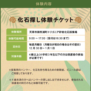 S174-005_化石ディグ利用券(5名様)