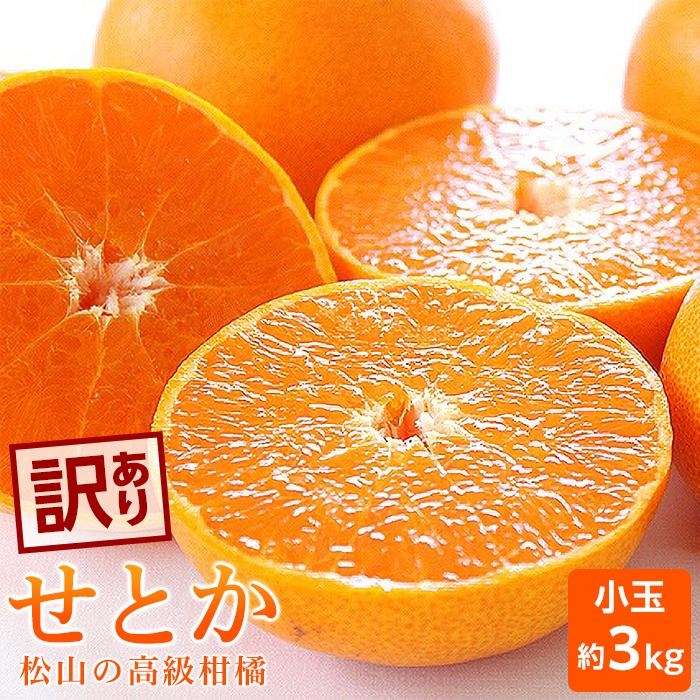 【ふるさと納税】 【2月中旬から発送】 愛媛 みかん せとか 小玉 約3kg | 愛媛 みかん 先行予約 蜜柑 柑橘 果物 くだもの フルーツ お取り寄せ グルメ 期間限定 数量限定 人気 おすすめ 愛媛県 松山市