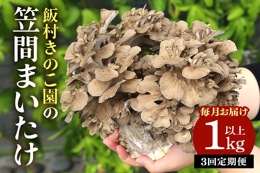 
                  毎月【3回定期便 】飯村きのこ園の笠間まいたけ(1kg以上)
                