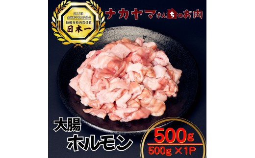 2544 【ナカヤマさんちのお肉】うしの中山 ホルモン（大腸）500g（500g×1袋）　KN050-021