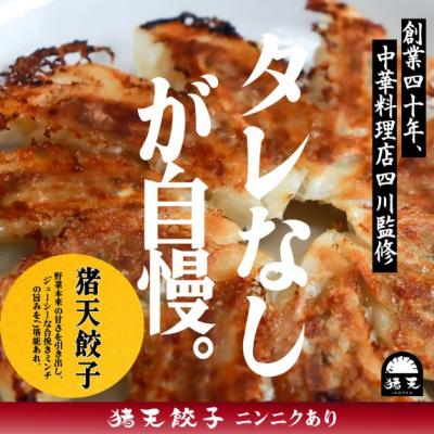 ふるさと納税 春日井市 【猪天餃子(ニンニクあり)】【12ヶ月定期便】春日井の中華料理店四川監修タレなし生餃子「猪天餃子」 |  | 01