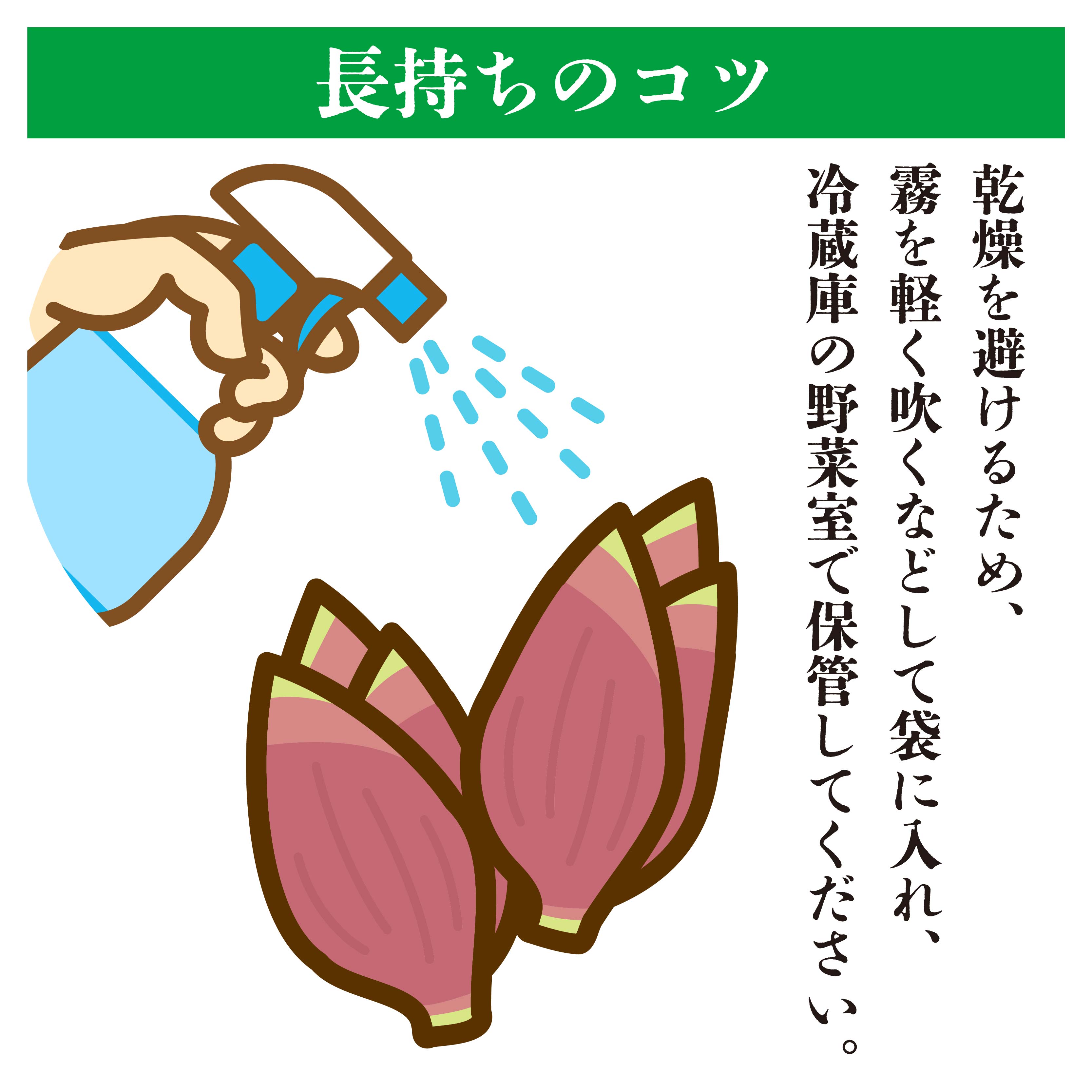 秀品 すさきのみょうが 1kg 生産量日本一 産地直送 秀品 かつおのたたき 薬味 高知県 高知 須崎 須崎市 すさき みょうが 茗荷 かつおたたき 藁焼き鰹  ぽん酢 玉ねぎ ねぎ しょうが 甘酢漬