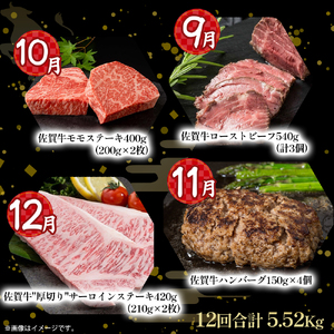 V11 佐賀牛 特選！12回定期便 佐賀牛 ブランド牛 国産牛 牛肉 肉 定期便 佐賀県 太良町