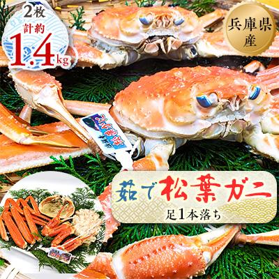ふるさと納税 新温泉町 松葉ガニの本場よりプロ茹で松葉ガニ(足1本落ち)約700g×2枚(冷凍)