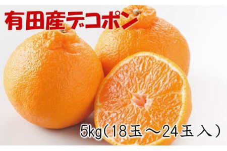 【お味濃厚】紀州有田産のデコポン約5kg(18玉～24玉入り・青秀以上) ※2025年1月中旬～3月中旬頃順次発送【tec810A】