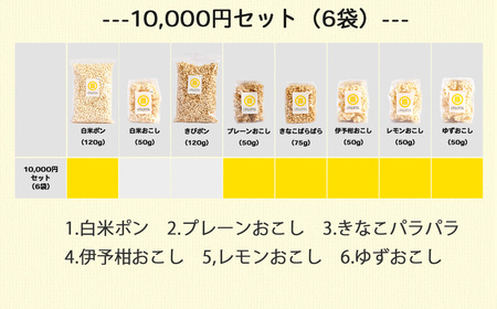 米菓子 自家製ポン菓子 10000円（6袋） セット 愛媛 新居浜の米農家が作る昔なつかしい味 グルテンフリー【百姓屋.藤田】