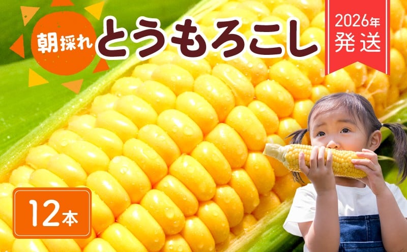 
            【 2026年 先行予約 】 朝採れ とうもろこし 12本 コーン スイートコーン 2026年6月下旬発送開始 生 黄色 新鮮 ジューシー 旬 野菜 やさい 夏野菜 朝採り とうきび BBQ バーベキュー 炊き込みご飯 数量限定 季節限定 送料無料 産地直送 冷蔵 千葉県 旭市 Re.FOODS The Morokoshi 株式会社はなわ農園 hnw009
          