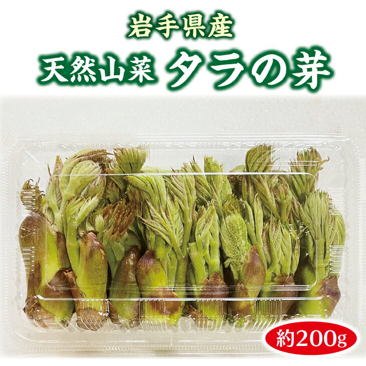 【ふるさと納税】 【先行予約】 【4月中旬頃～発送予定】 山菜 タラの芽 約200g 天然山菜 たらのめ さんさい 野菜 やさい 山の幸 旬