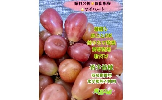 
            ぶどう 2026年  マイハート 秀品 粒だけ 約1kg 岡山 国産 果物 フルーツ 2026年8月中旬から発送
          