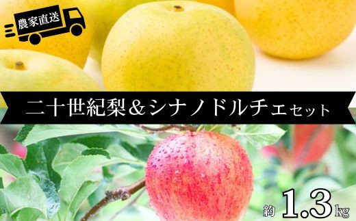 HF34【長野県松川町産】農家直送！2品種楽しめる二十世紀梨&シナノドルチェセット 約1.3kg／9月中旬発送開始予定  // 長野県 南信州  減農薬栽培 りんご シナノドルチェ 洋梨 二十世紀梨 20世紀 ２０世紀