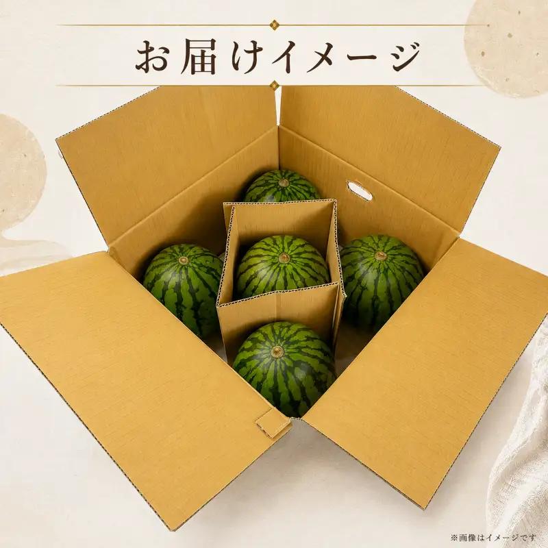 スイカ 訳あり 小玉スイカ 5玉 スウィートキッズ 小玉 こだま すいか スイカ 西瓜