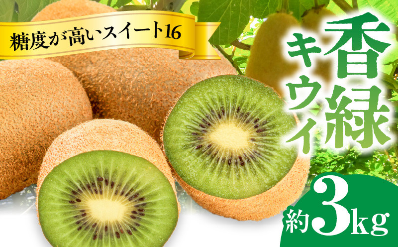 
            【ふるさと納税】 フルーツ デザート 果物 果実 濃緑色 さぬき讃フルーツ 香緑 キウイ スイート16 約3kg エメラルドグリーン 果肉 お土産 ギフト 香川県 三豊市 お取り寄せ 送料無料
          