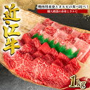 【ふるさと納税】 近江牛 特選 焼肉用 1kg 冷凍 牛肉 黒毛和牛 焼肉 焼き肉 赤身 カルビ 食べ比べ ブランド 近江牛 三大和牛 贈り物 ギフト プレゼント 滋賀県 竜王 岡喜