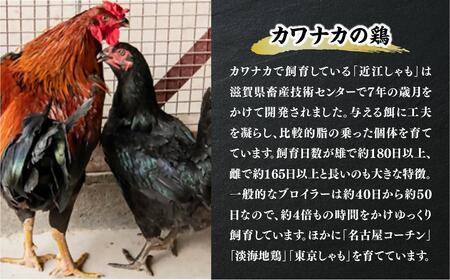 超新鮮＆美味！大津市で飼育した近江しゃもor名古屋コーチン！