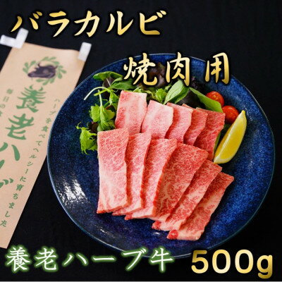 【ふるさと納税】養老ハーブ牛　バラカルビ　焼肉用　500g【配送不可地域：離島】【1273628】