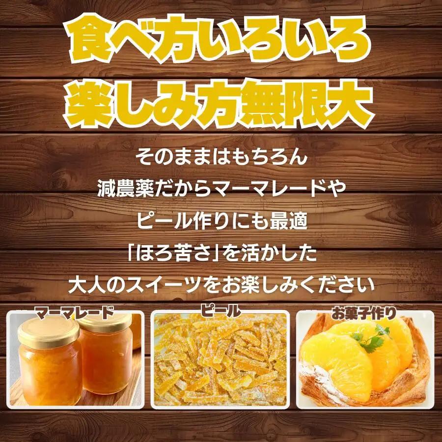 【先行予約】甘夏 8kg 訳あり 甘夏 愛なんよ