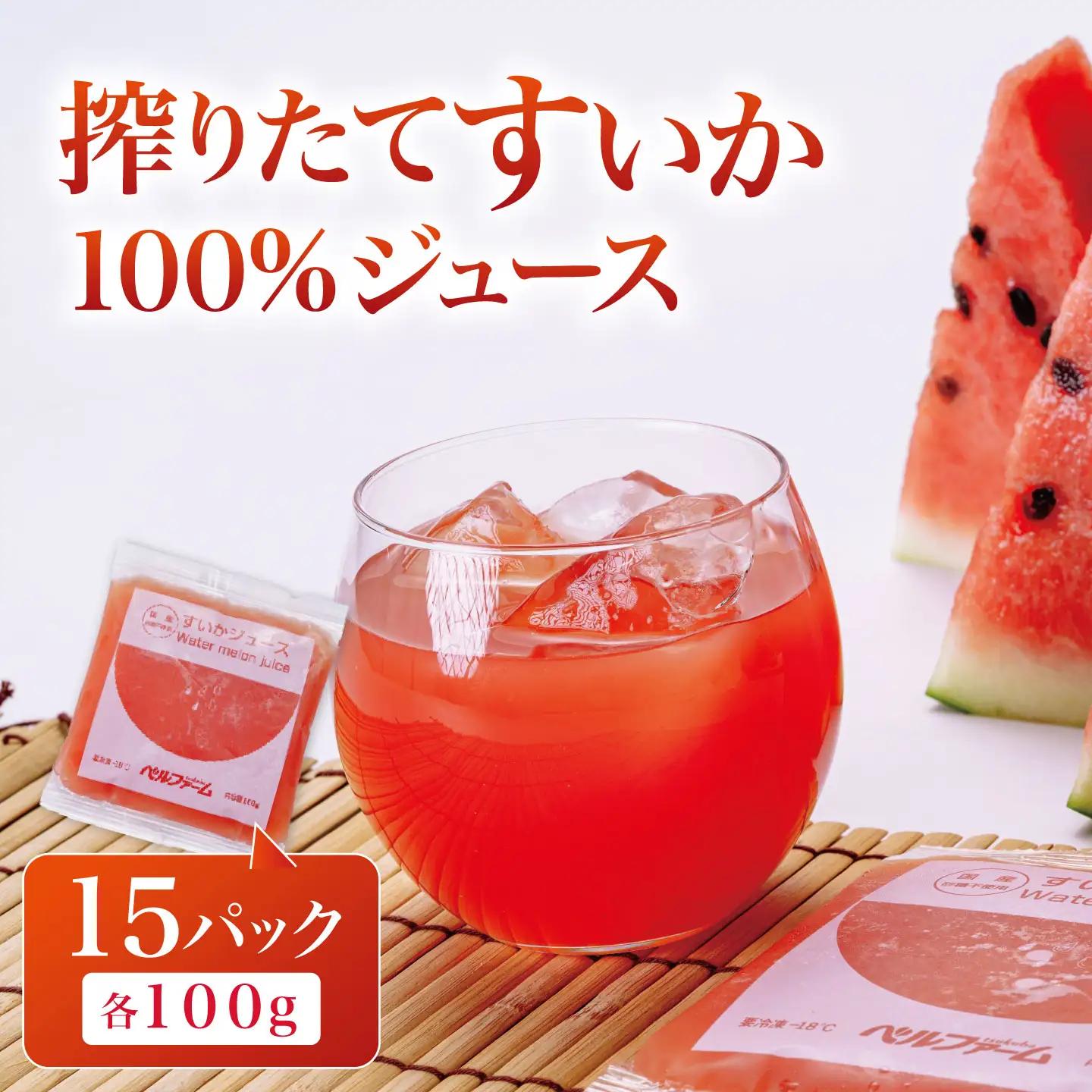 すいかジュース 100g×15P ジュース すいか
