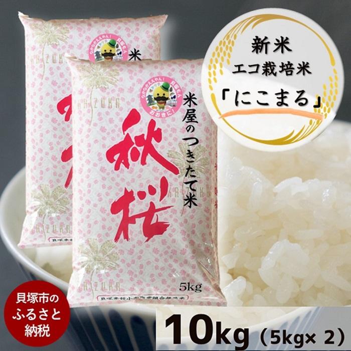【ふるさと納税】【米屋のつきたて米】新米！エコ栽培米『にこまる』10kg（5kg×2袋）