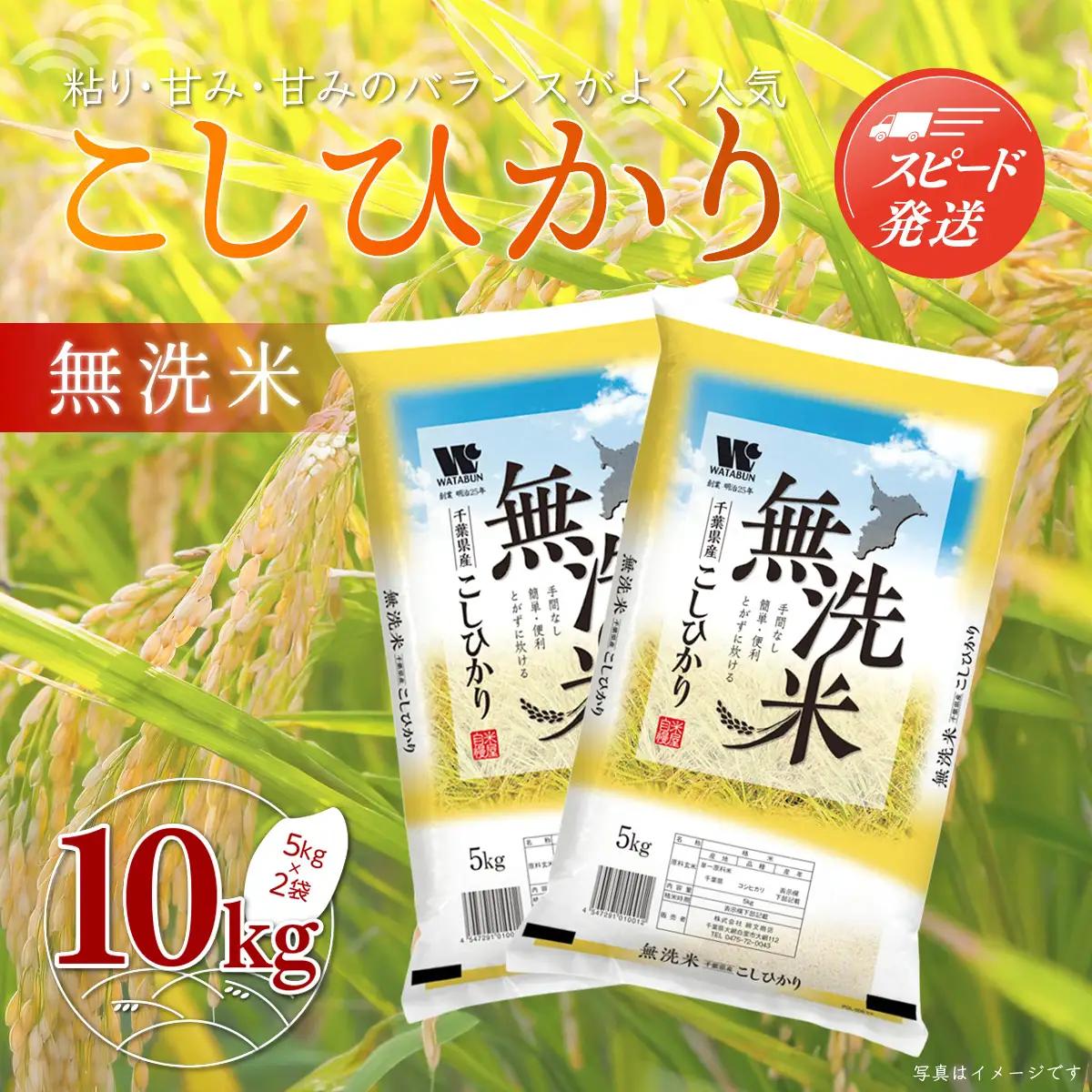 新米 令和8年産 千葉県産「コシヒカリ」無洗米 10kg（5kg×2袋）ふるさと納税 米 無洗米 コシヒカリ こしひかり 千葉県 大網白里市 A041
