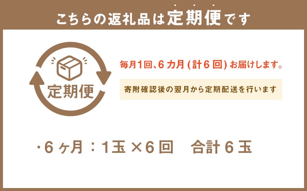 【6ヶ月定期便】訳あり 静岡県産 アローマメロン 1玉 約6.0kg以上 化粧箱入