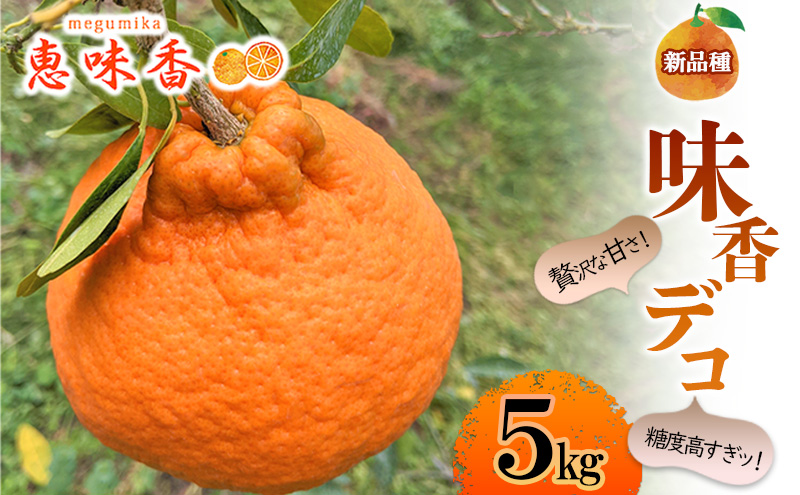 【早期受付】佐賀みかん みかん 味香デコ 5kg 果物 フルーツ ※配送不可：離島