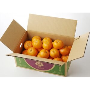 高級ブランド 秀品 紀州有田田村産みかん 3kg【1595336】