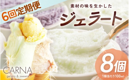 【全6回定期便・隔月お届け】 素材の味を生かした カルナの ジェラート 100ml 8個セット【定期便 アイス ミルクアイス アイスクリーム シャーベット ジェラート 氷菓子 スイーツ お菓子 おかし 詰め合わせ セット 人気 冷凍 ご褒美アイス 暑さ対策】 [J-3001]