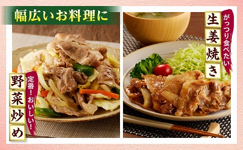 宮崎県産豚肉 切り落とし4.5kg